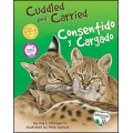 Cuddle and Carried / Consentido y cargado