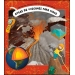 Atlas de los volcanes. Explora los volcanes con seis mapas despegables